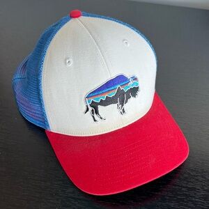 Patagonia Unisex Fitz Roy Buffalo Trucker Hat